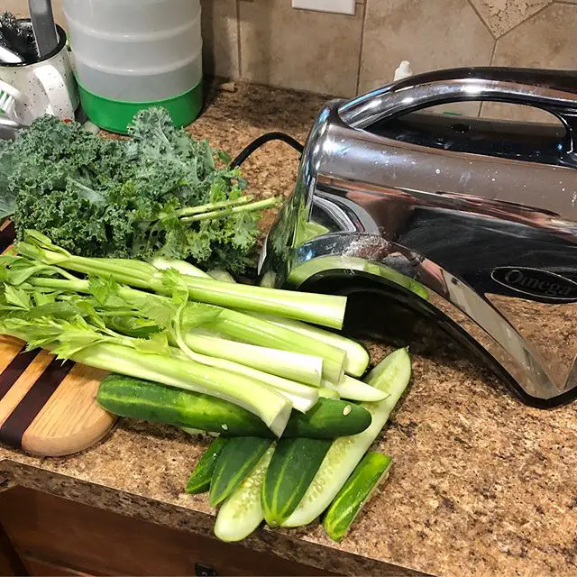 juicer for celery