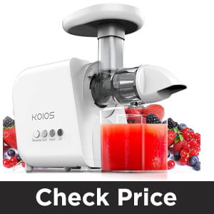 best slow juicer 2018