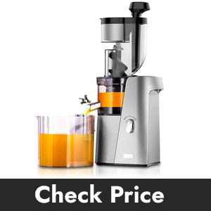 best masticating juicer 2018