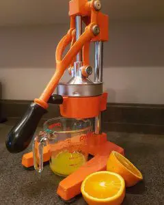 best manual juicer