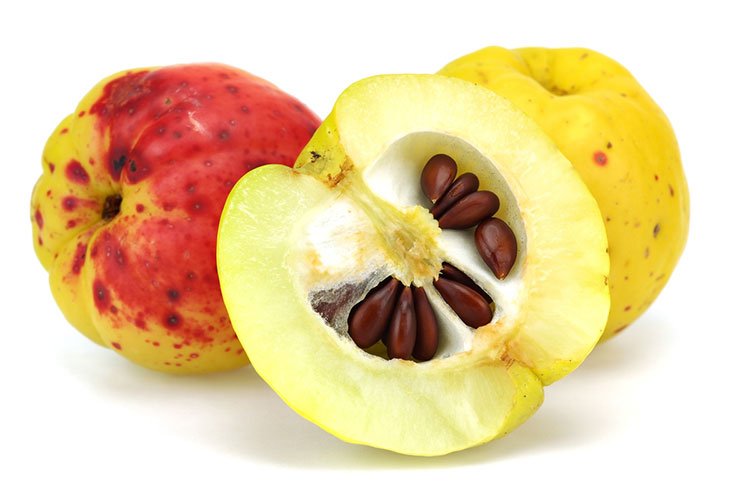 can you juice apple seed
