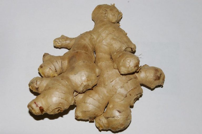 Do You Peel Ginger Before Juicing A Conclusive Guide TheJuicerGuide